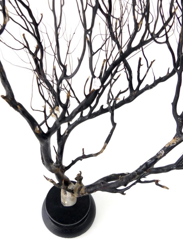 Gorgone noire sur pied noir en bois tourné (détail dessus)