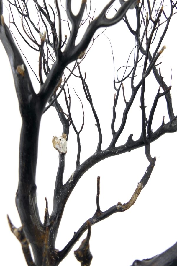Gorgone noire sur pied noir en bois tourné (détail)