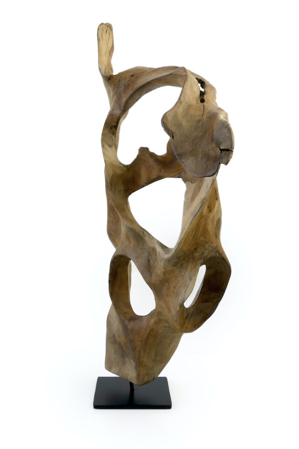 Sculpture racine de teck sur socle noir (profil)