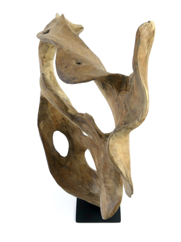 Sculpture racine de teck sur socle noir (dessus profil)