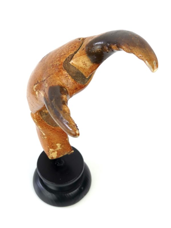 Grande pince de tourteau sur pied (dessus 3/4)