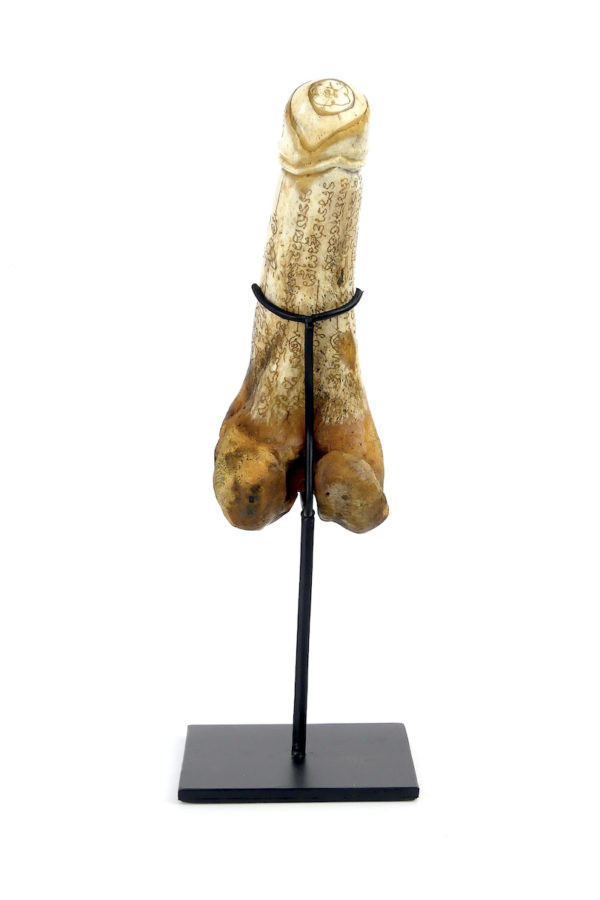 Palad Khik amulette pénis thaïlandaise en os sur socle (face)