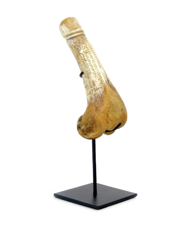 Palad Khik amulette pénis thaïlandaise en os sur socle (3/4)
