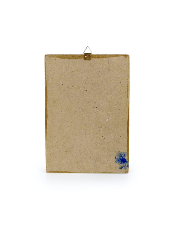 Petit cadre 3 scarabées naturalisés sous verre (dos)