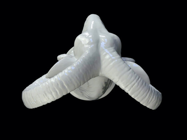 Tête de Bouc en porcelaine blanche (dessus)