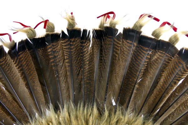 Coiffe de guerre de chef Sioux sur pied (détail)