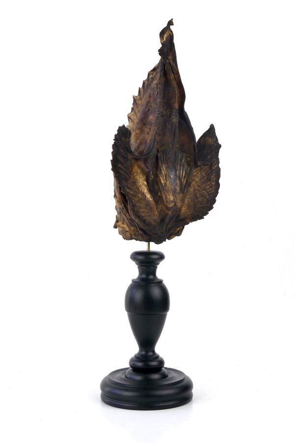 Poisson-pierre naturalisé sur pied en bois tourné (3/4 dos)