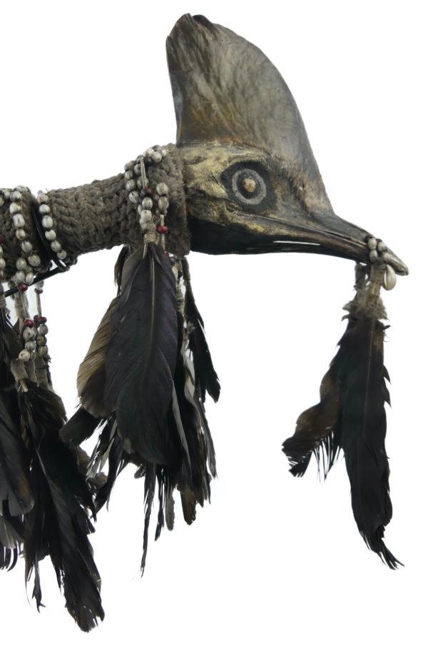 Grand Pi Pisuwe poignard Asmat en os et tête de casoar sur socle (détail)