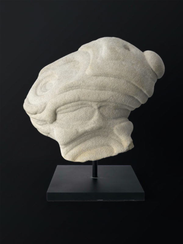 Belle gogote de Fontainebleau sur pied - 14 kg - France (face)