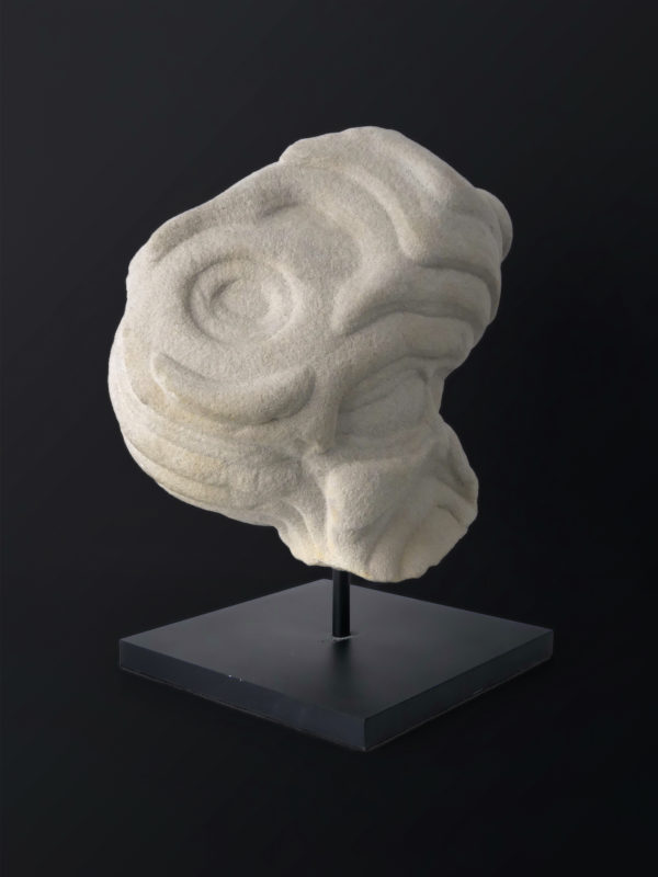Belle gogote de Fontainebleau sur pied - 14 kg - France (3/4)
