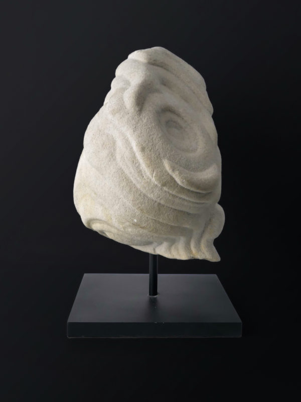 Belle gogote de Fontainebleau sur pied - 14 kg - France (profil)