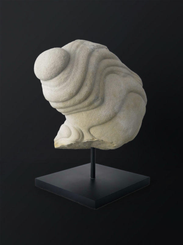 Belle gogote de Fontainebleau sur pied - 14 kg - France (3/4)