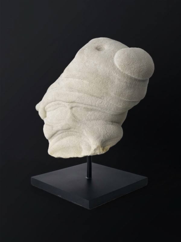 Belle gogote de Fontainebleau sur pied - 14 kg - France (3/4)