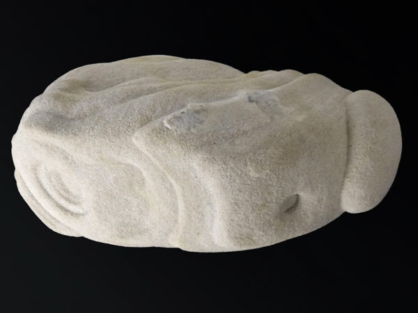 Belle gogote de Fontainebleau sur pied - 14 kg - France (dessus)