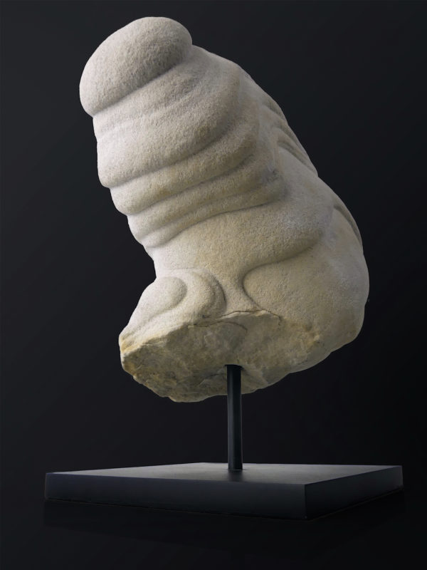 Belle gogote de Fontainebleau sur pied - 14 kg - France (dessous 3/4)
