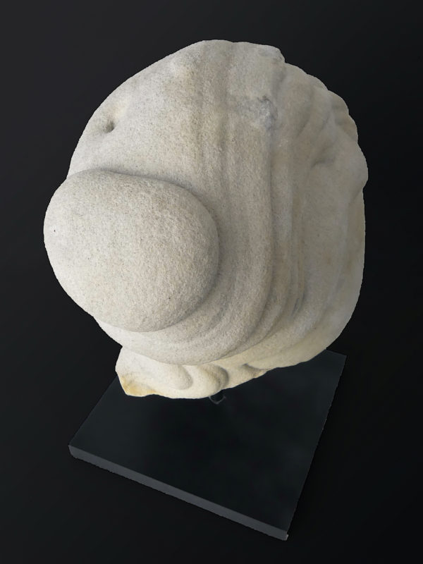 Belle gogote de Fontainebleau sur pied - 14 kg - France (dessus 3/4)