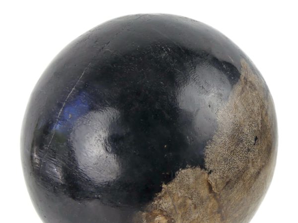 Petite boule de bois pétrifié du Miocène sur socle (détail)