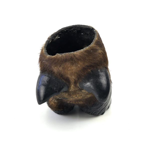Pied de buffle naturalisé ancien - Taxidermie (dos)