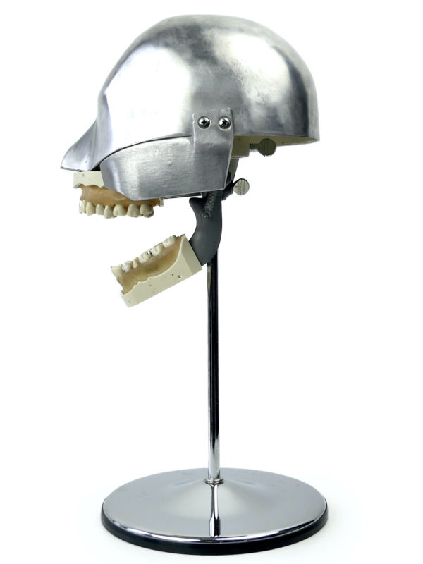 Tête fantôme dentaire vintage des années 60 (profil)