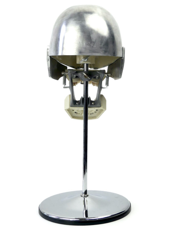 Tête fantôme dentaire vintage des années 60 (dos)