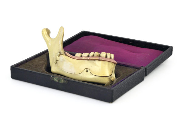 Modèle hémi-mandibule humaine en pyralène 1900 Allemagne (coffret ouvert)