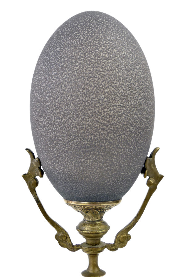 Œuf de casoar monté sur pied en bronze et marbre noir (détail)