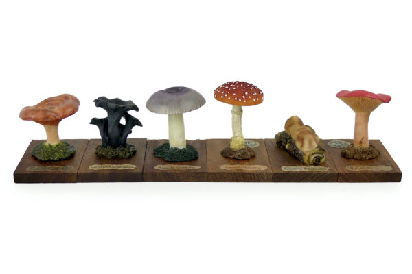 6 champignons série 4 numérotés Mi-XXe Espagne (face)