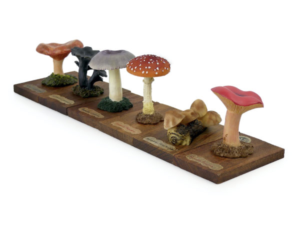 6 champignons série 4 numérotés Mi-XXe Espagne (3/4)