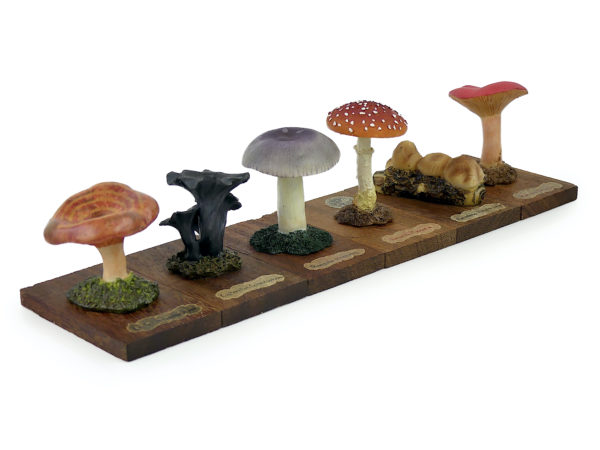 6 champignons série 4 numérotés Mi-XXe Espagne (3/4)