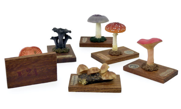 6 champignons série 4 numérotés Mi-XXe Espagne