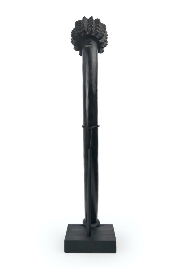 Large massue Totokia fidjienne en bois dur sur socle (dos)