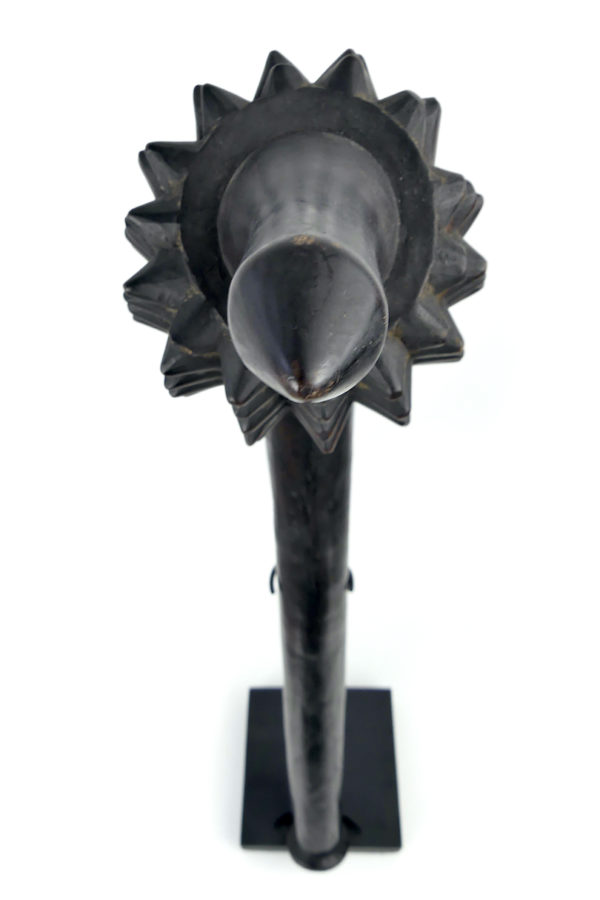 Large massue Totokia fidjienne en bois dur sur socle (dessus)