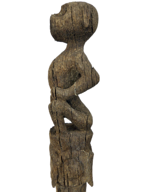 Tun Tun dayak ancien en bois érodé sur pied Kalimantan Bornéo (détail profil)