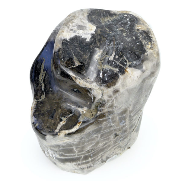 Bloc de bois pétrifié brun gris et blanc du Miocène (dessus)
