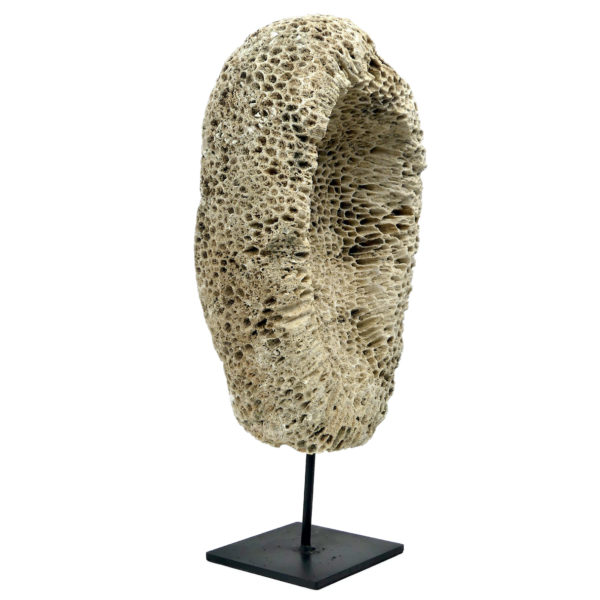 Grand masque d’ancêtre Atoni en corail fossilisé sur pied (3/4 dos)