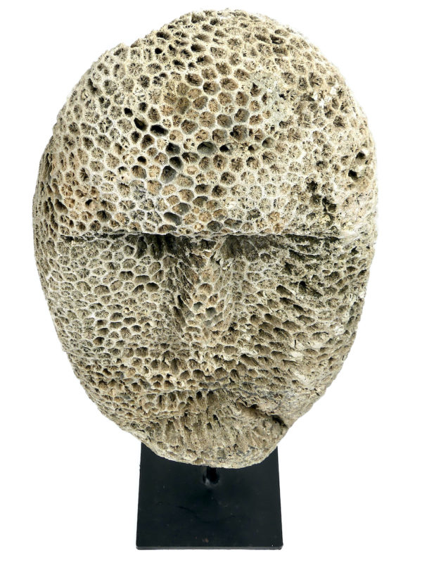 Grand masque d’ancêtre Atoni en corail fossilisé sur pied (dessus)