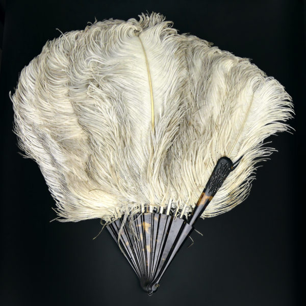Éventail d’effeuilleuse en plumes d’autruche sur monture écaille (face)