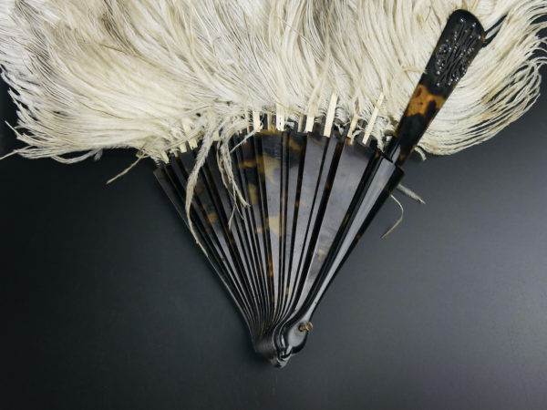 Éventail d’effeuilleuse en plumes d’autruche sur monture écaille (détail)