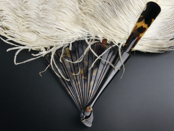 Éventail d’effeuilleuse en plumes d’autruche sur monture écaille (détail)
