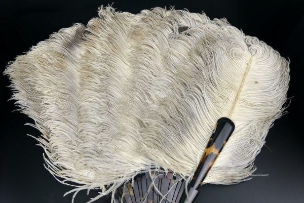 Éventail d’effeuilleuse en plumes d’autruche sur monture écaille (détail)