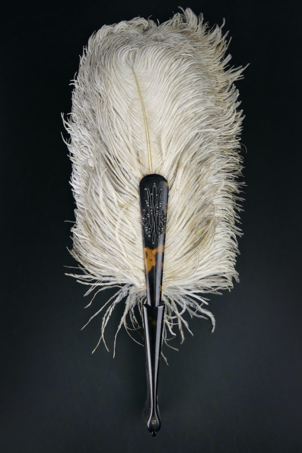Éventail d’effeuilleuse en plumes d’autruche sur monture écaille (face plié)