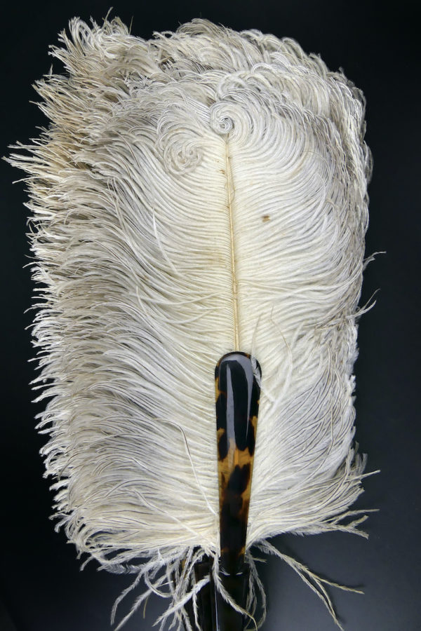 Éventail d’effeuilleuse en plumes d’autruche sur monture écaille (détail)