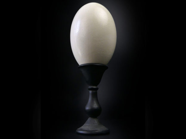 Œuf de nandou véritable sur pied en bois tourné noir (face)