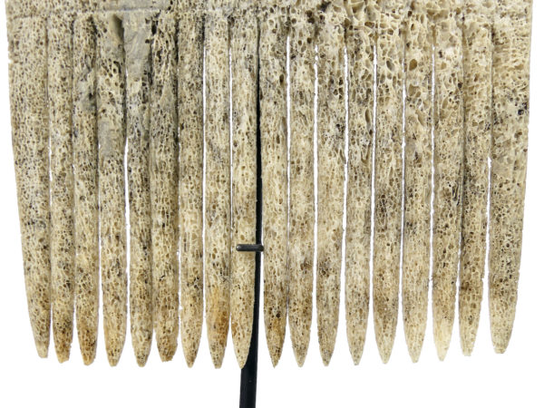 Peigne plat du Timor en os de baleine sculpté sur socle (détail)