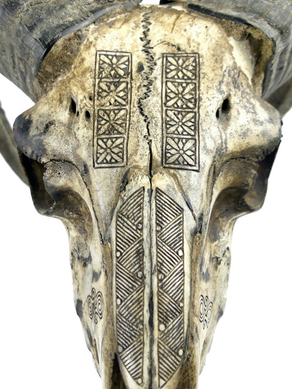 Crâne de bélier ciselé sur socle Ovis aries Artisanat balinais (détail)