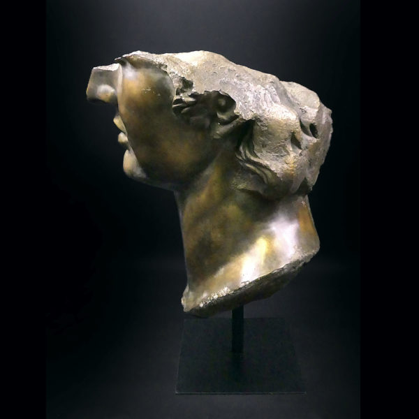 Grand fragment tête d’Apollon moulé à patine bronze sur pied métallique (profil)