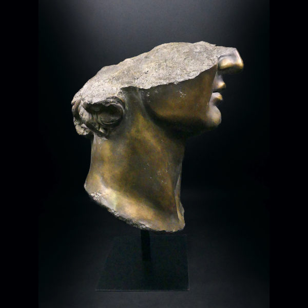 Grand fragment tête d’Apollon moulé à patine bronze sur pied métallique (profil)