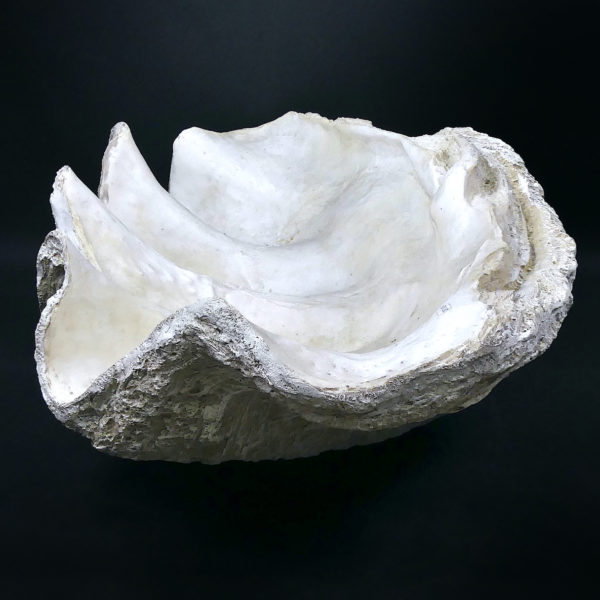 Grand bénitier géant moulé en matériau composite Tridacna gigas (profil)