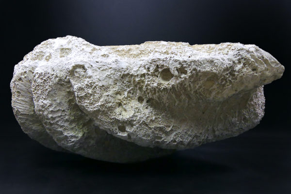 Grand bénitier géant moulé en matériau composite Tridacna gigas (3/4 dos)
