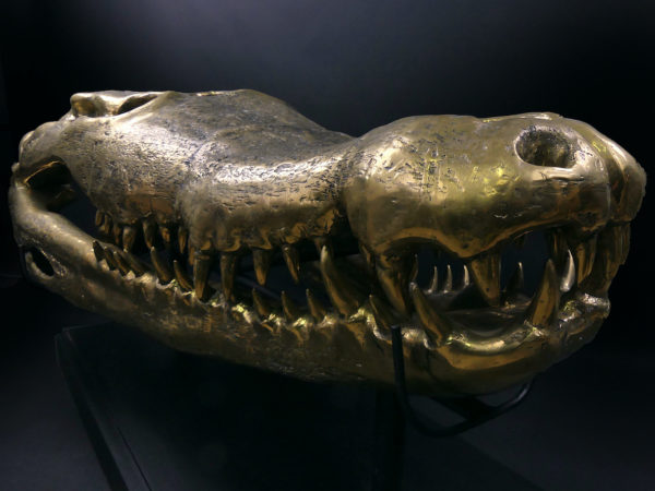 Grand crâne de crocodile en bronze recyclé doré sur socle noir (3/4)